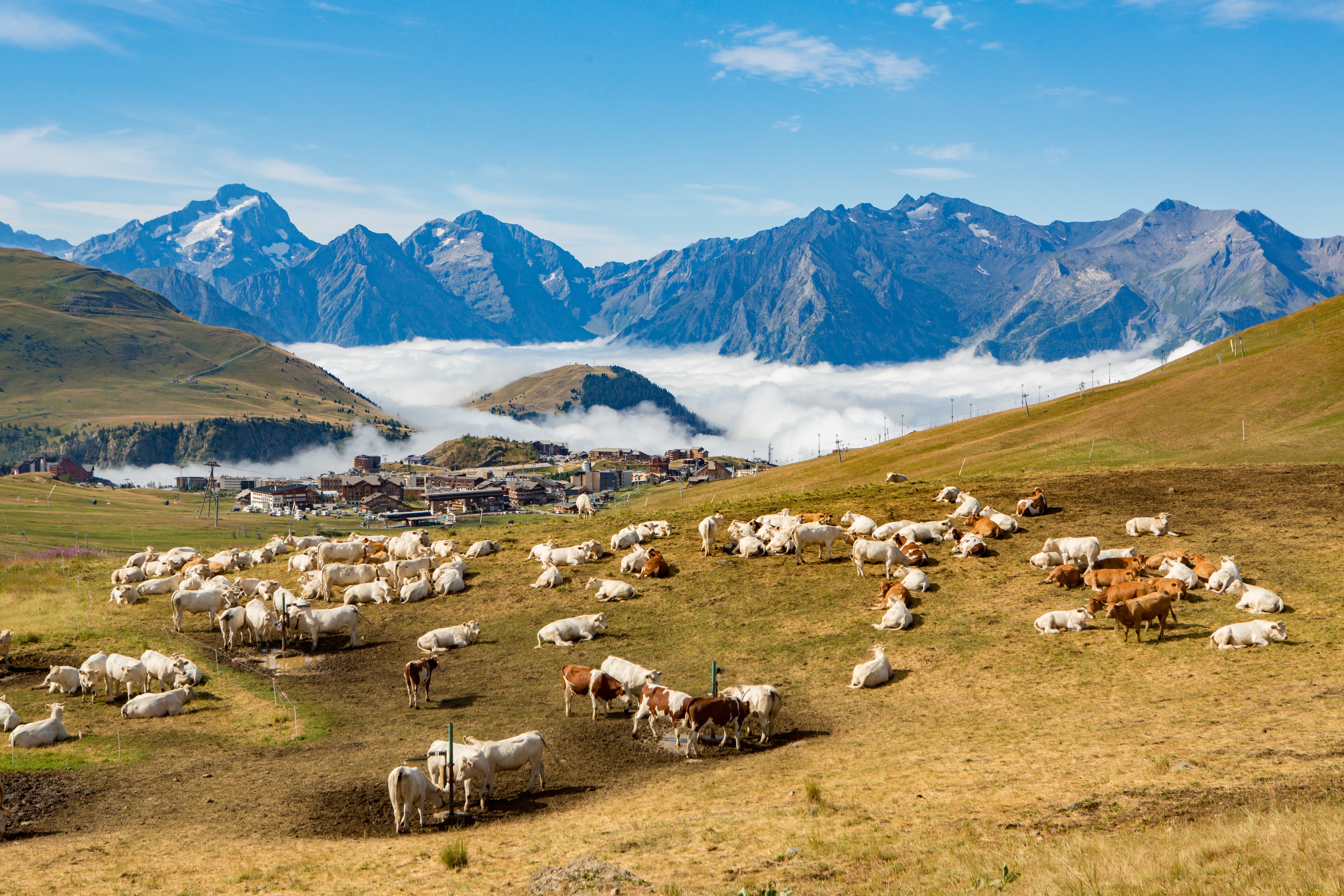 Copyright Laurent Salino - Alpe dHuez Tourisme