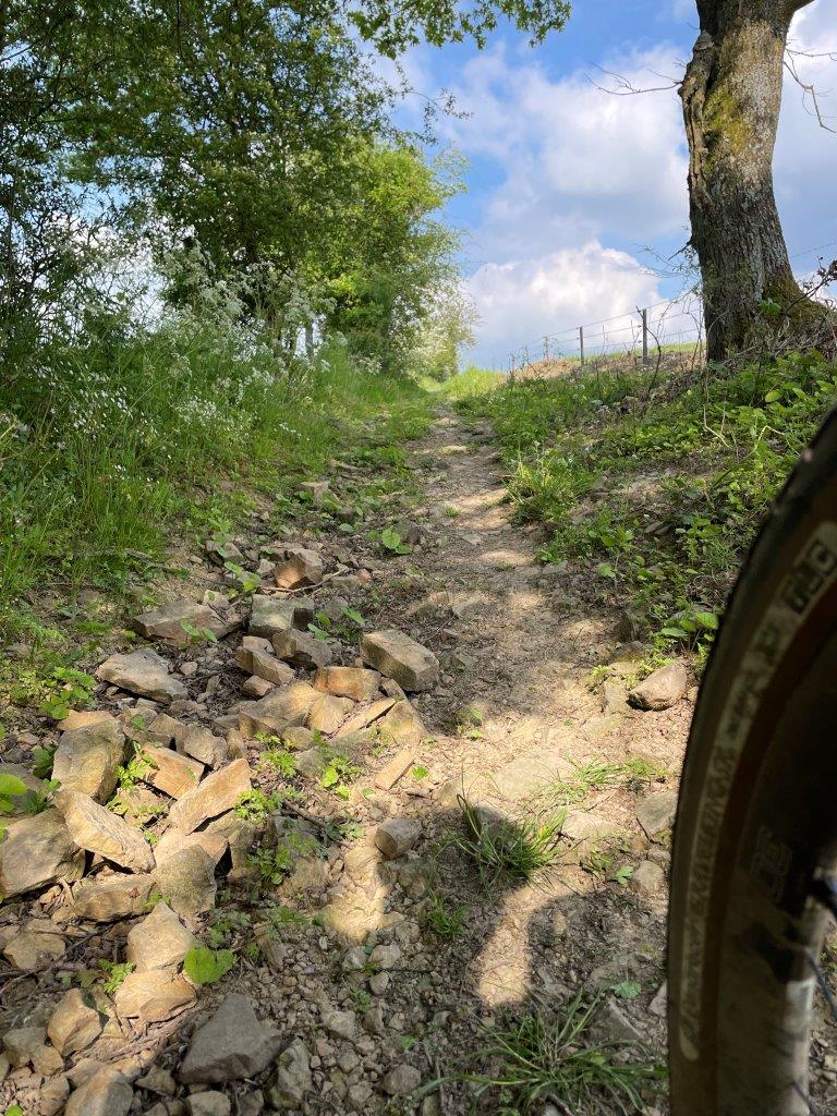 The Transbelgian bikepackingroute