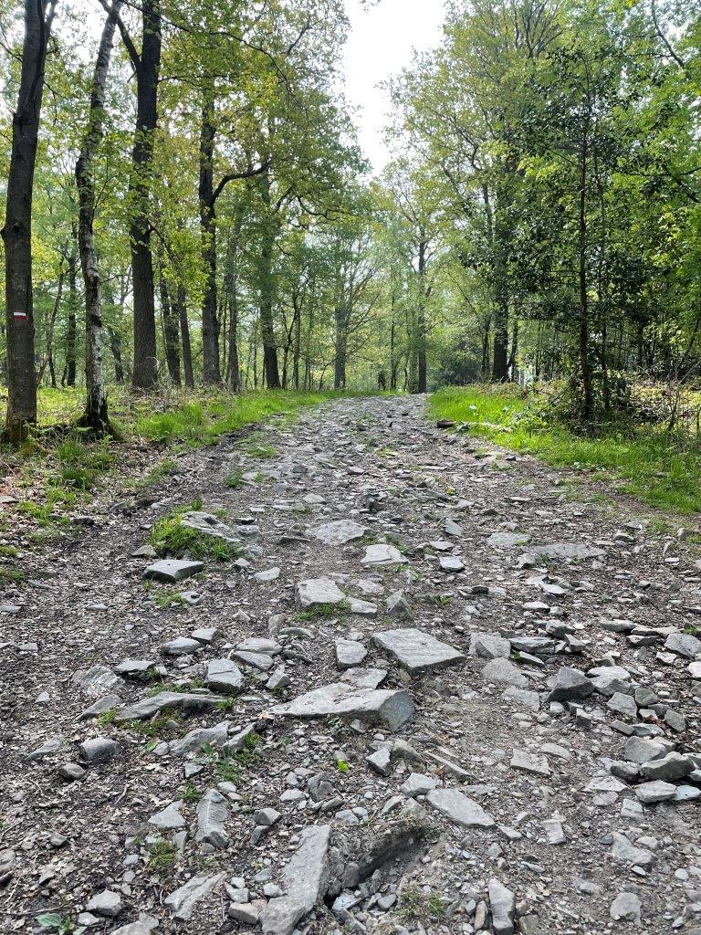 The Transbelgian bikepackingroute