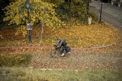 Flanders Divide bikepackingroute