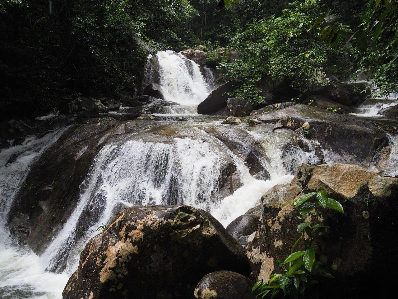 Gunung Gading © Burgmans-Gyles