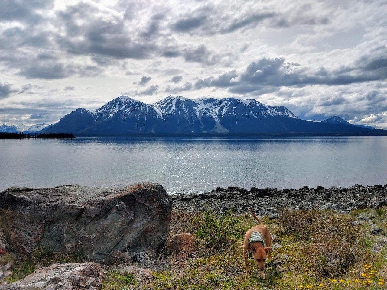 IMG_20190517_165906509_HDR
