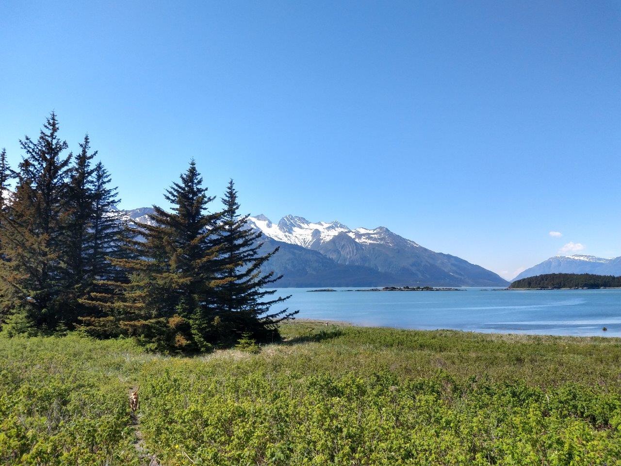 IMG_20190521_140714419_HDR