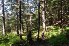 IMG_20190521_134544392