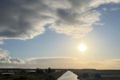 Wandeling-Oostvaardersplassen-3