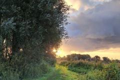 Wandeling-Oostvaardersplassen-4