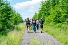 Hike Like A Giant