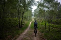komoot Green Divide NL