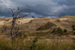 Curonian Spit