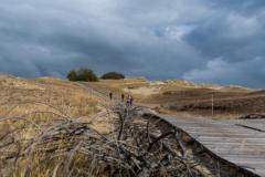 Curonian Spit