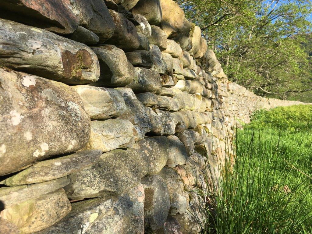 Volg-de-muur