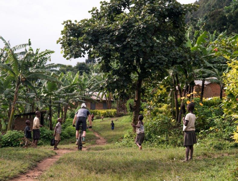 Msungu-Msungu.