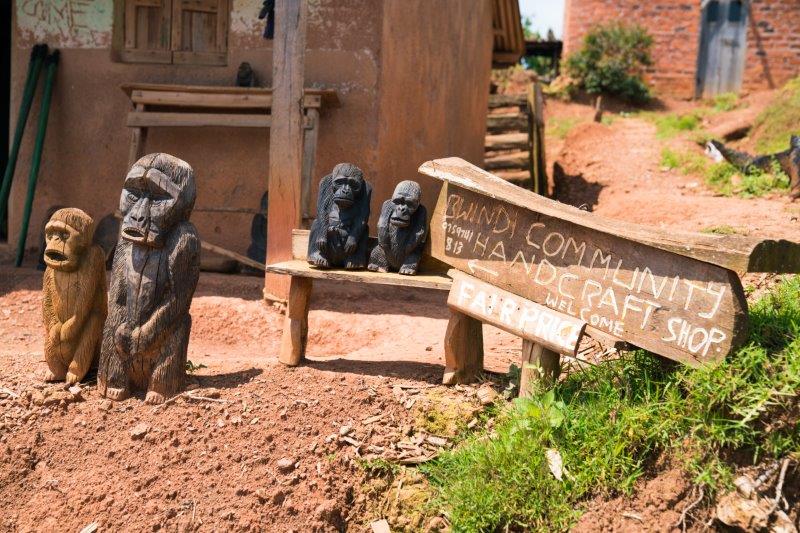 Ruhija-Gorilla-Bwindi-NP-Oeganda.