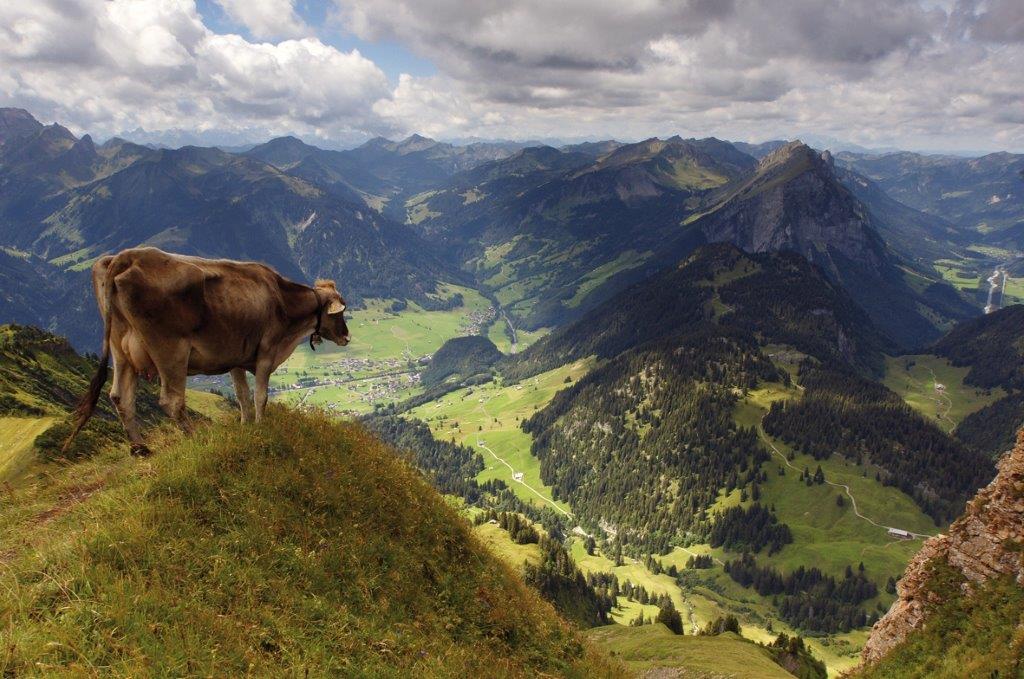 Bregenzerwald, on top of Diedamskopf mountain (c) Ludwig Berchtold_Vorarlberg Tourismus