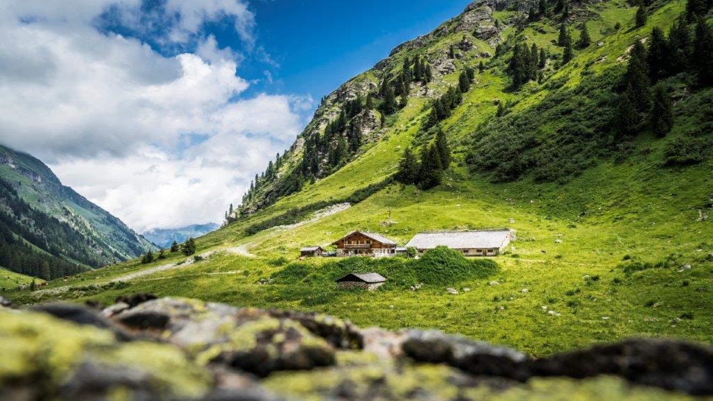 Montafon, Alpe Garnera (c) Dietmar Denger_Vorarlberg Tourismus