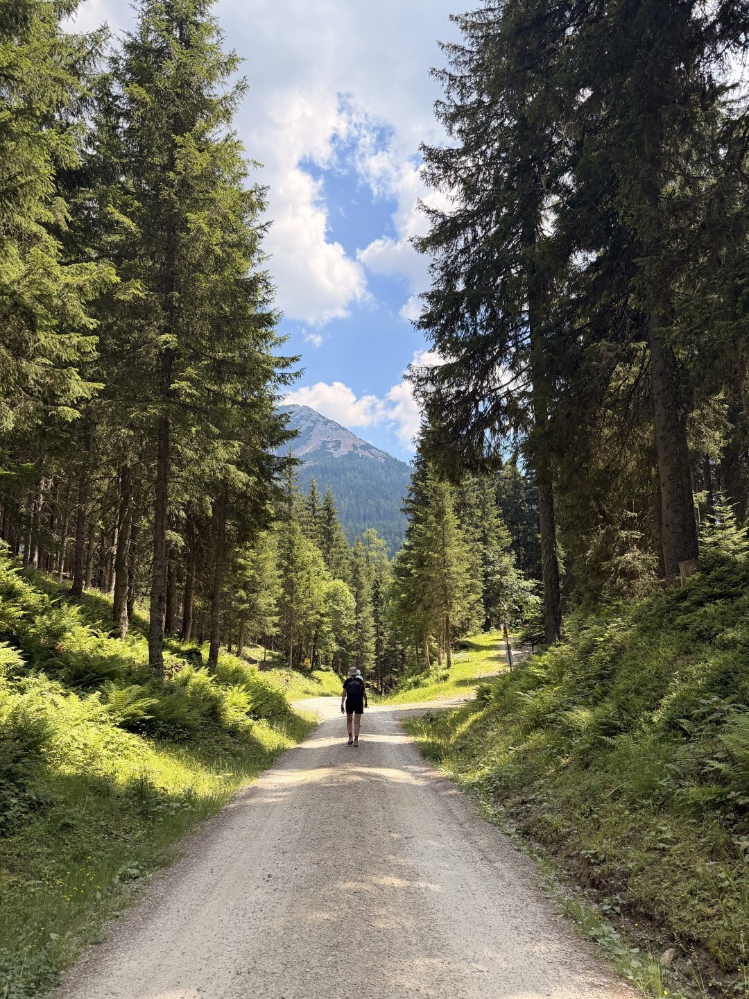 Salzburger-Almenweg-25