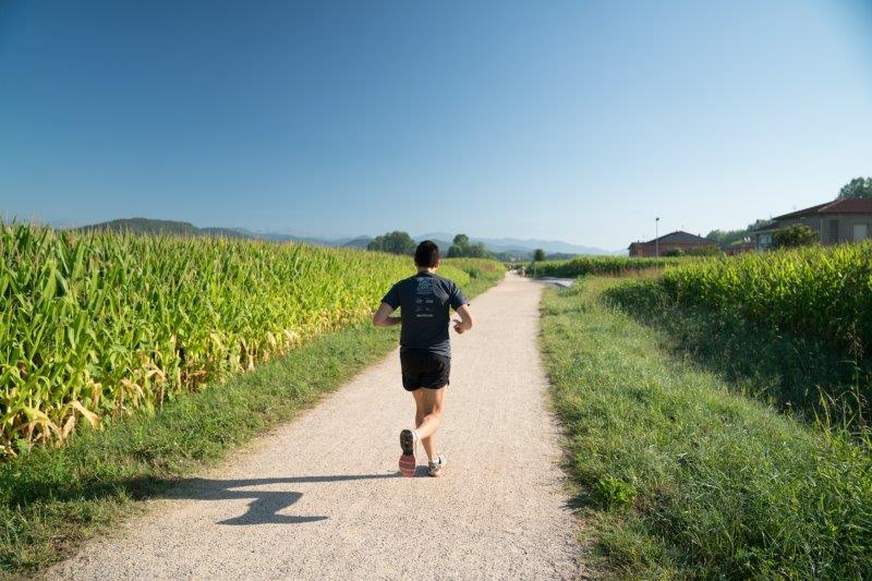 In-Frankrijk-is-de-route-iets-minder-avontuurlijk-als-in-Spanje-mooie-aangelegde-fietspaden-in-plaats-van-de-Spaanse-grindwegen-en-dus-meer-kilometers-op-de-weg.
