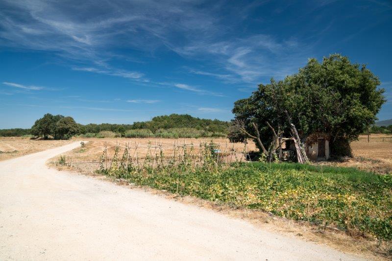 Pyrenexus-beginning-LLagostera