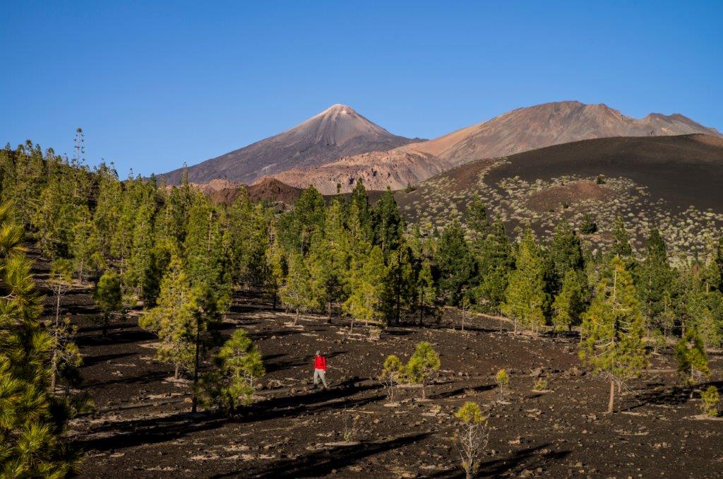 National Park of Teide