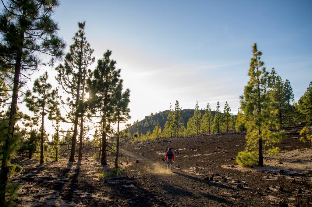 Walking on the forestal hike