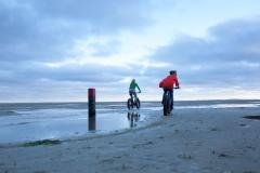 Fatbike