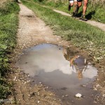 Eric Waterschoot Scott Offroad Run (c) Elodie Desmet