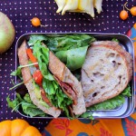 ECOlunchbox brooddoos