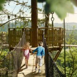 Wandelen met kinderen over een boomkruinenpad