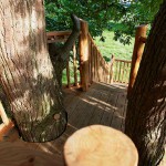 Overnachten in een boomhut – Bagthorpe Treehouse
