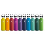 Hydro Flask Standard Mouth drinkbus