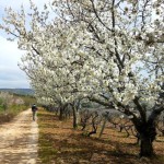 De nieuwe Sufi Trail wandelen in Turkije