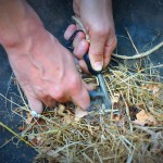 Test je survivalskills