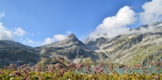 Wandelbestemming in Oostenrijk - Nationaal Park Hohe Tauern - Weissenzee