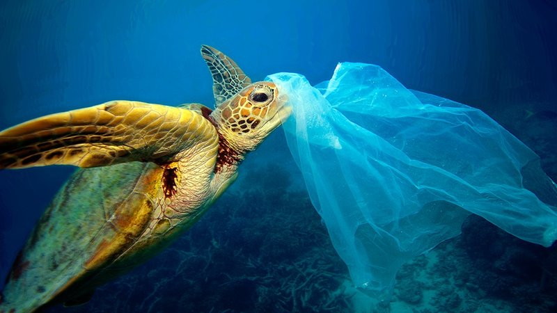Win 1 van de 3 duotickets voor Wave of Change – A Plastic Ocean
