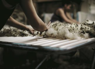 Icebreaker transparantierapport: het verhaal achter de wol