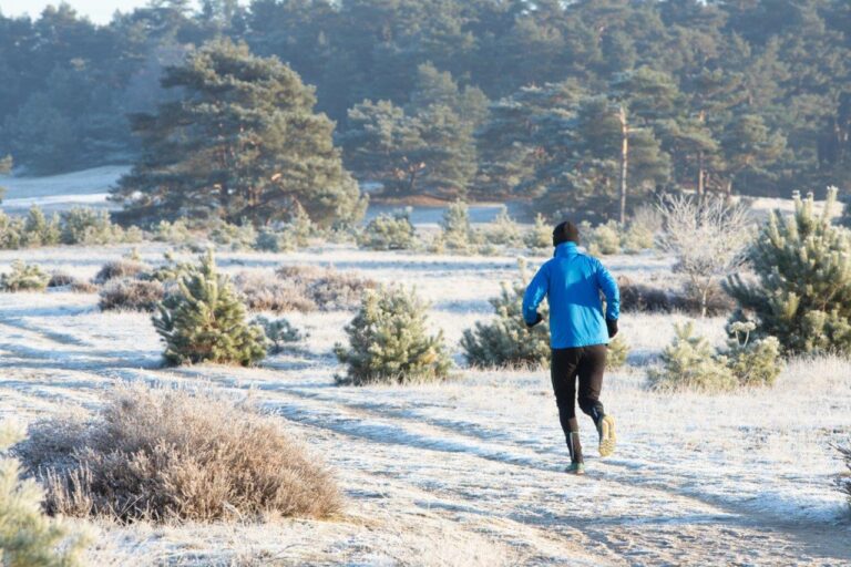 hardlopen, winter, Veluwe, Nederland