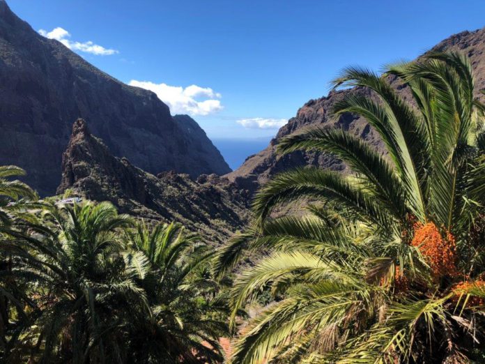 Avontuur op Tenerife outdoor eiland - Masca kloof