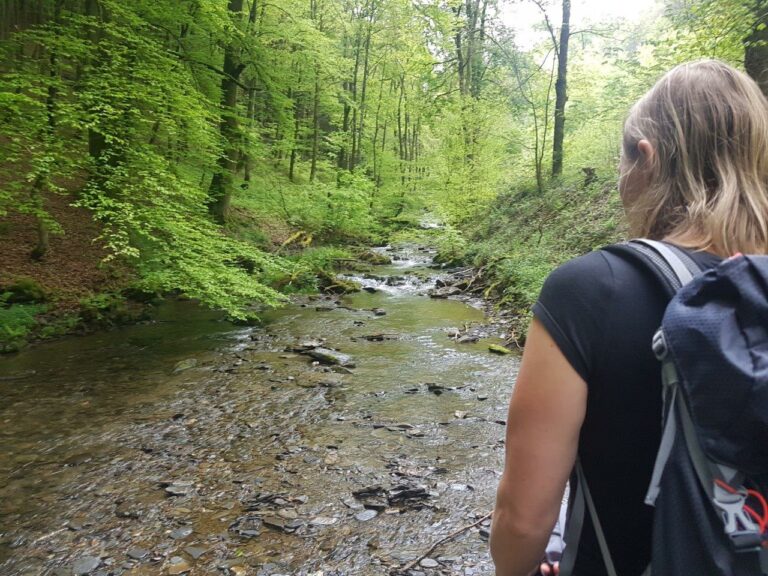 Wildernistrail wandelen in de Duitse Eifel