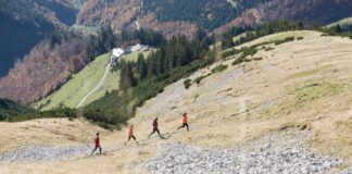 trailrunning-parcoursen van Innsbruck