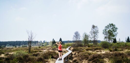 Hike Like A Giant in de Hoge Venen