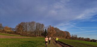 Verslag Team Far Out loopt Meerdaalwoud Trail in Bierbeek