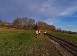 Verslag Team Far Out loopt Meerdaalwoud Trail in Bierbeek