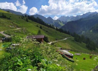 Werkvakantie op een bergboerderij in Tirol
