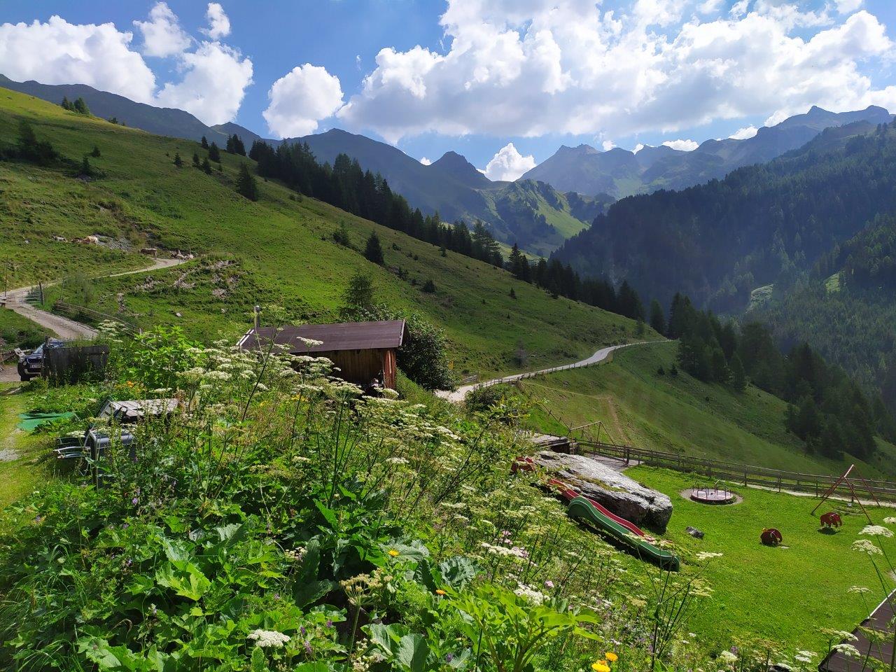 Werkvakantie op een bergboerderij in Tirol – Aufi auf die Alm!