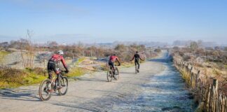 Trailrunnen en mountainbiken in Koksijde-Oostduinkerke