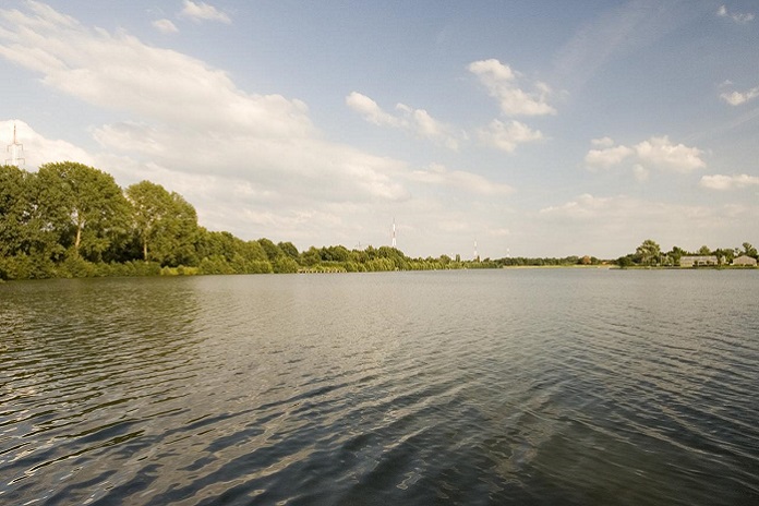 Wildzwemmen in België: natuurlijke zwemzones in de provincie Limburg