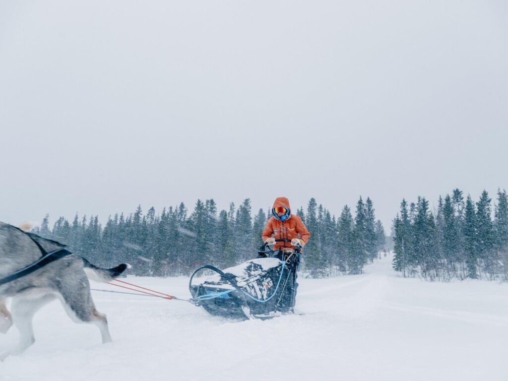 In april 2023 brengt Fjällräven Polar 20 mensen van over de hele wereld samen voor een hondenslee-expeditie van 300 km over de arctische toendra. In voor zo'n uitdaging? Schrijf je dan in!