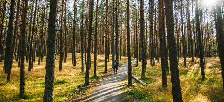 5 prachtige herfstwandelingen in Litouwen