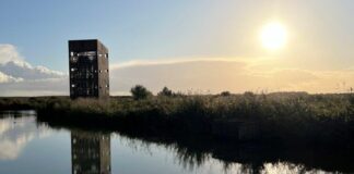 Wandeling Oostvaardersplassen 5