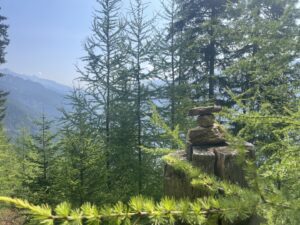 Naar de Schwarzensteinhütte vanuit het Ahrntal